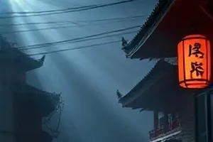 双生码头封面，并列的两座集装箱码头夜景