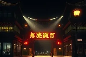 白鹭归巢封面，老宅天井与归巢白鹭的定格画面